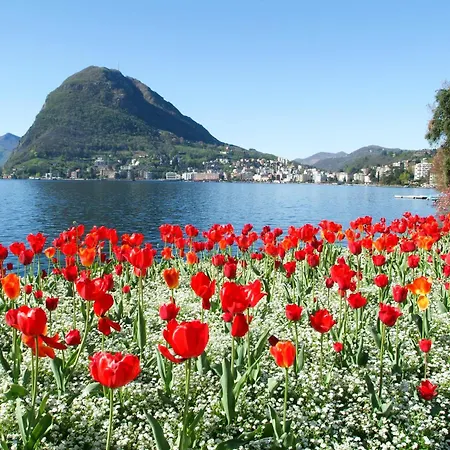 Viganello Luxury Appartement Lugano